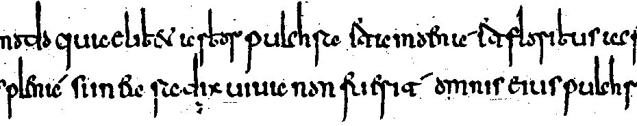 Merowingische Minuskel als Schriftbeispiel